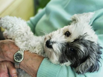Dog Social Friday Café