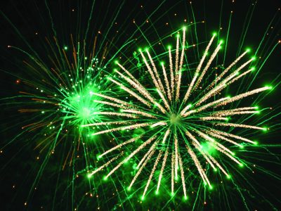 Community Bonfire Night