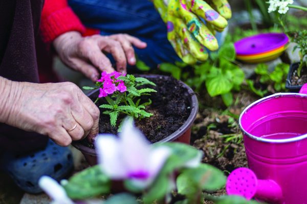 Join our Gardening Club