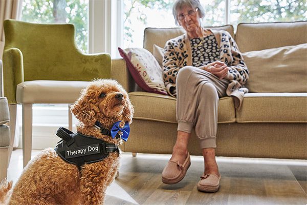 How Does Animal-Assisted Therapy Help with Dementia?