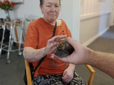 A Wild Day of Discovery at Chestnut View