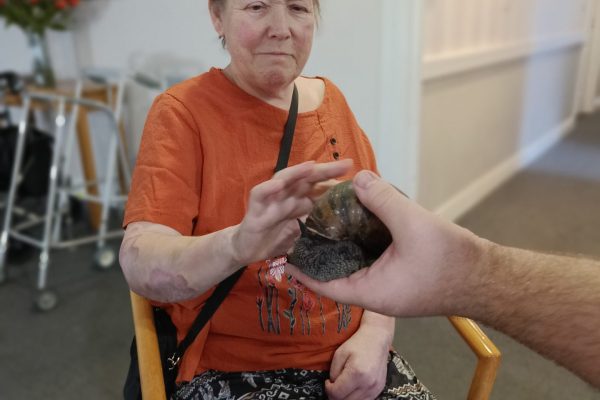 A Wild Day of Discovery at Chestnut View