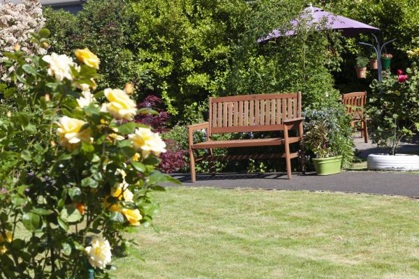 End-of-Life Care vs Palliative Care: What’s the Differences?